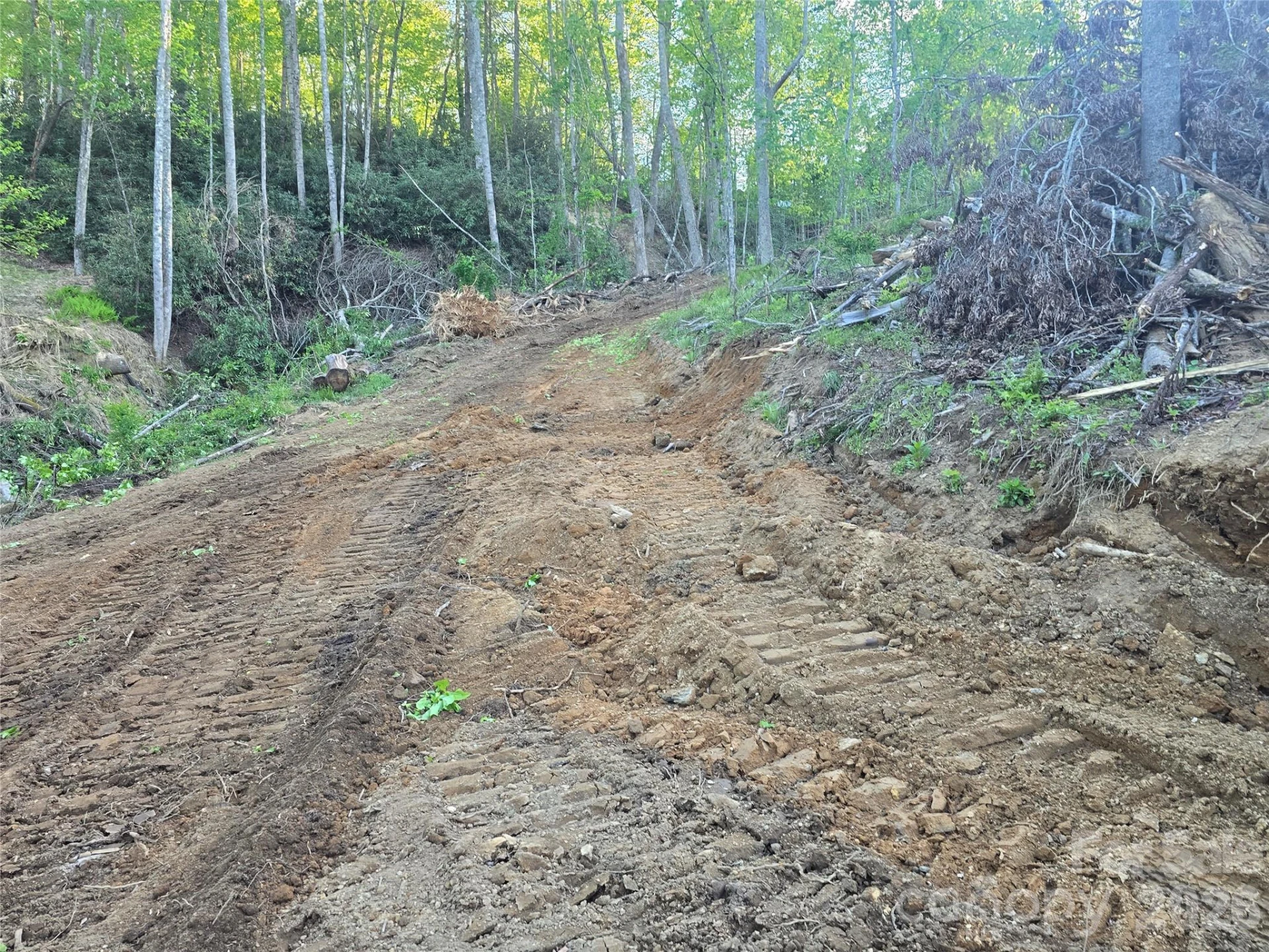 1480 Davis Mountain Road - Photo 16