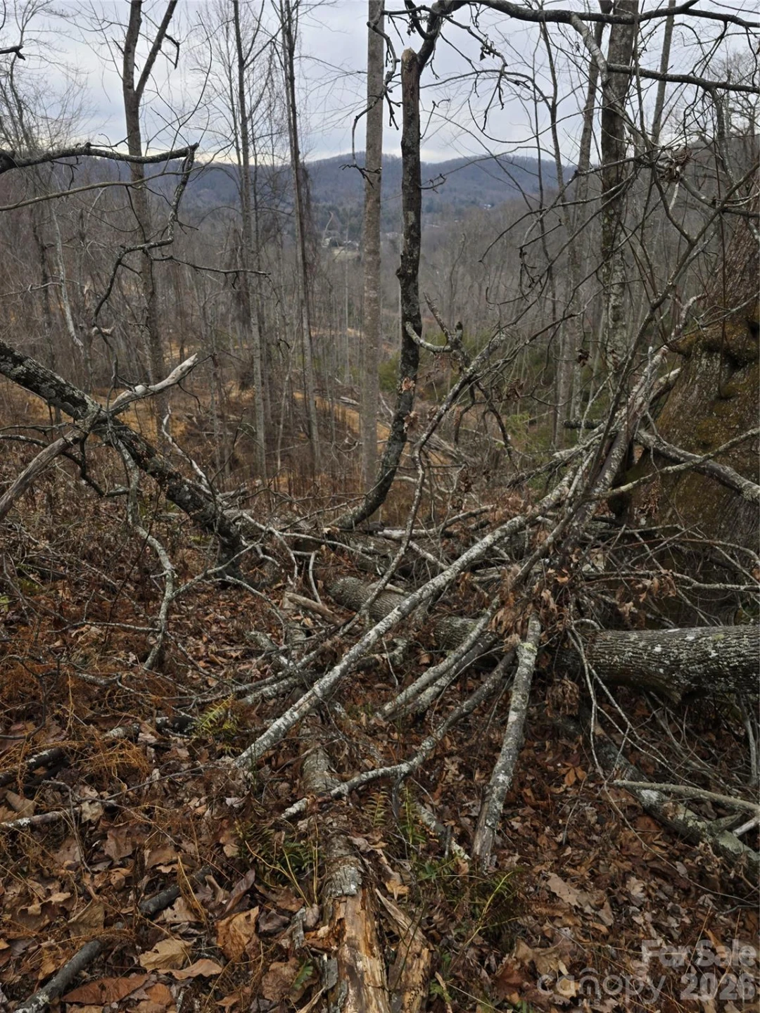 1480 Davis Mountain Road - Photo 19