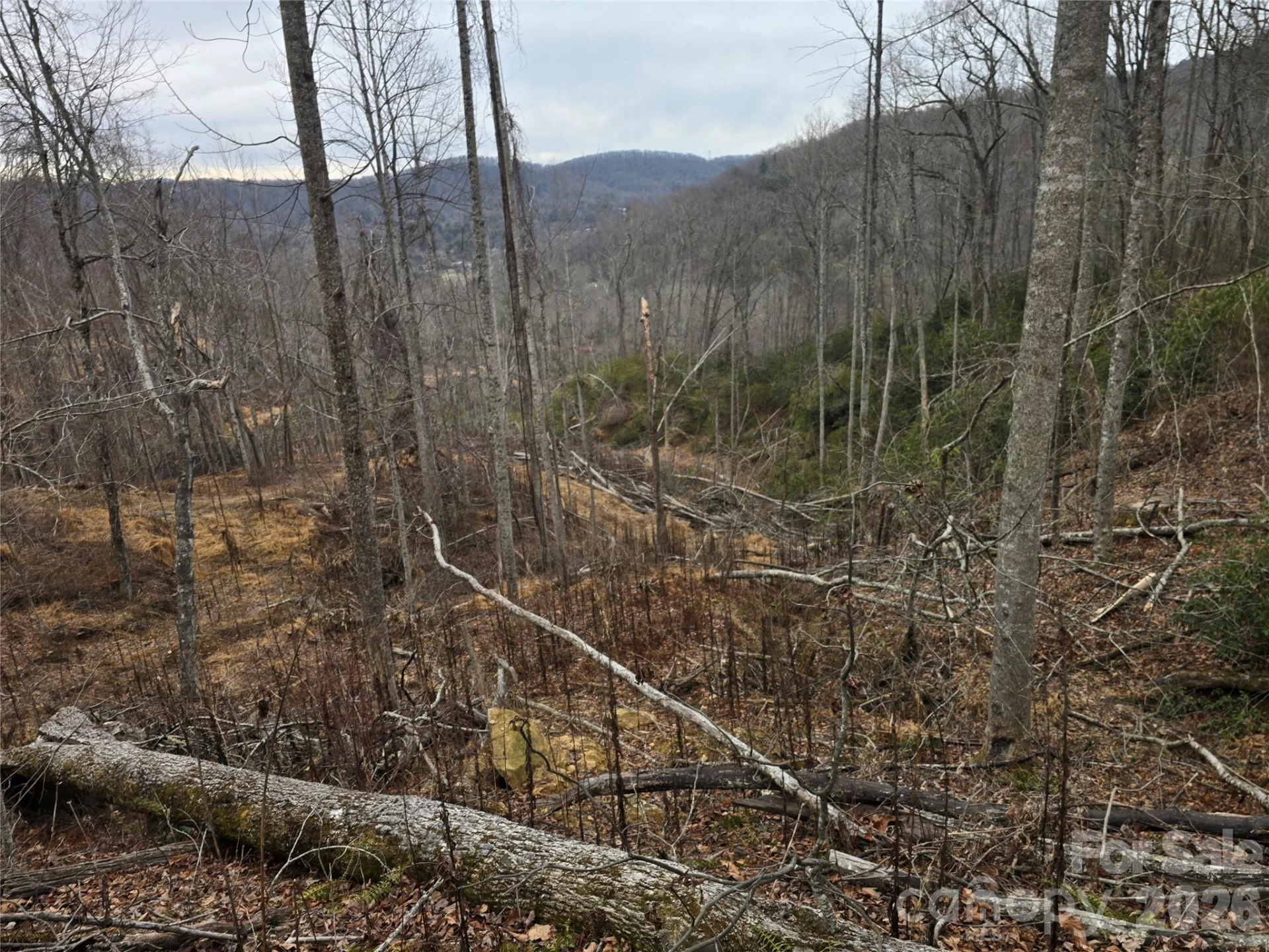 1480 Davis Mountain Road - Photo 21