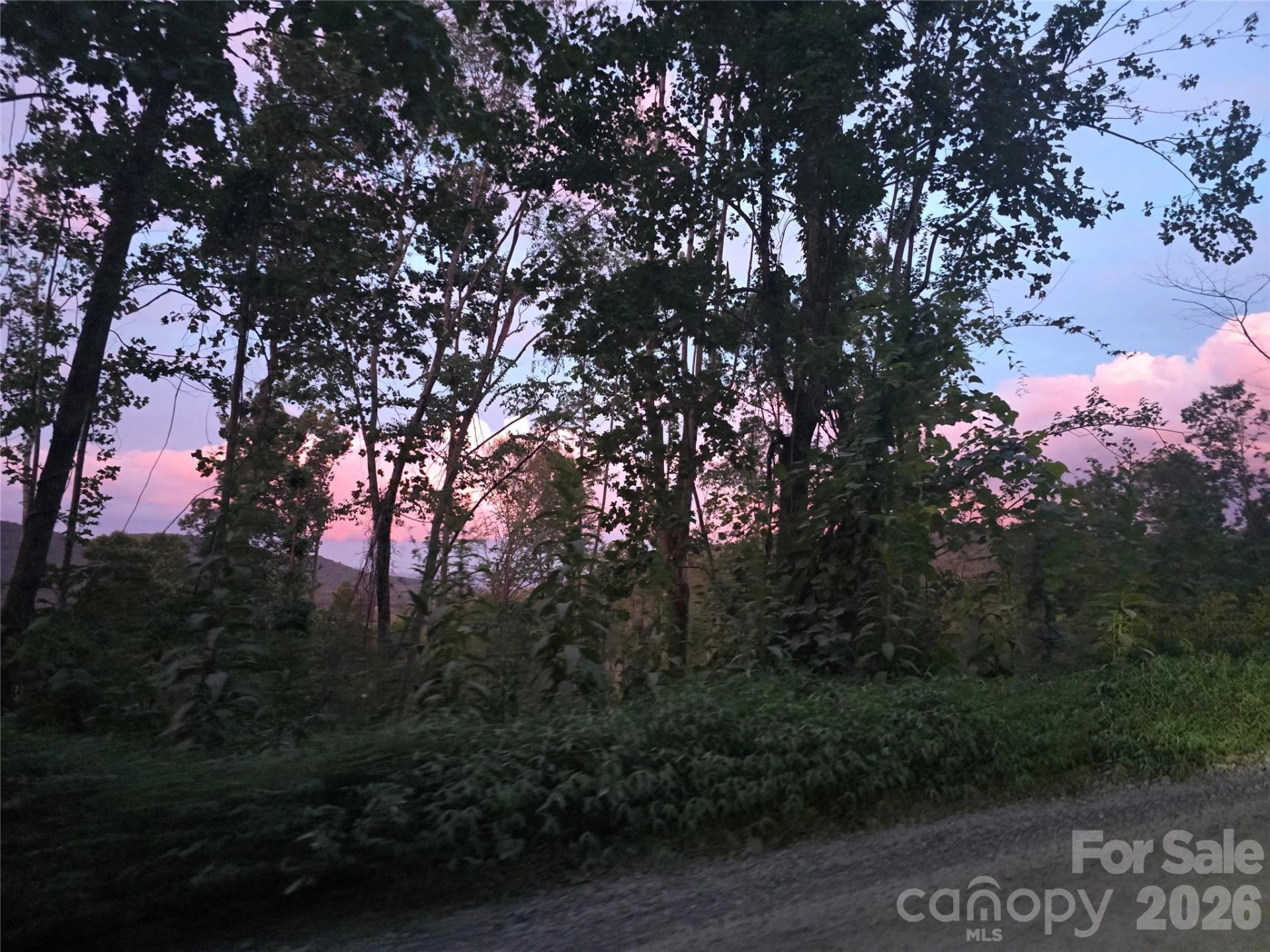 1480 Davis Mountain Road - Photo 23