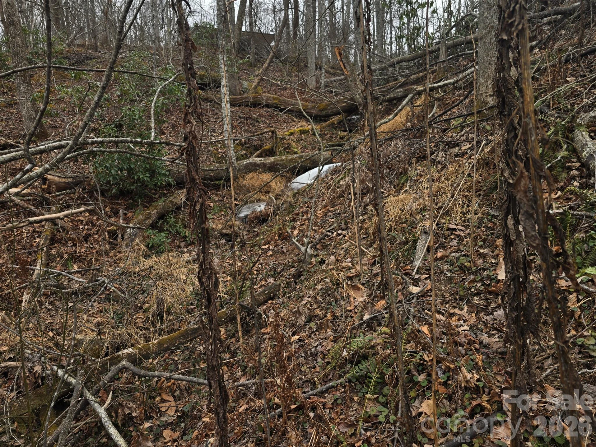 1480 Davis Mountain Road - Photo 4