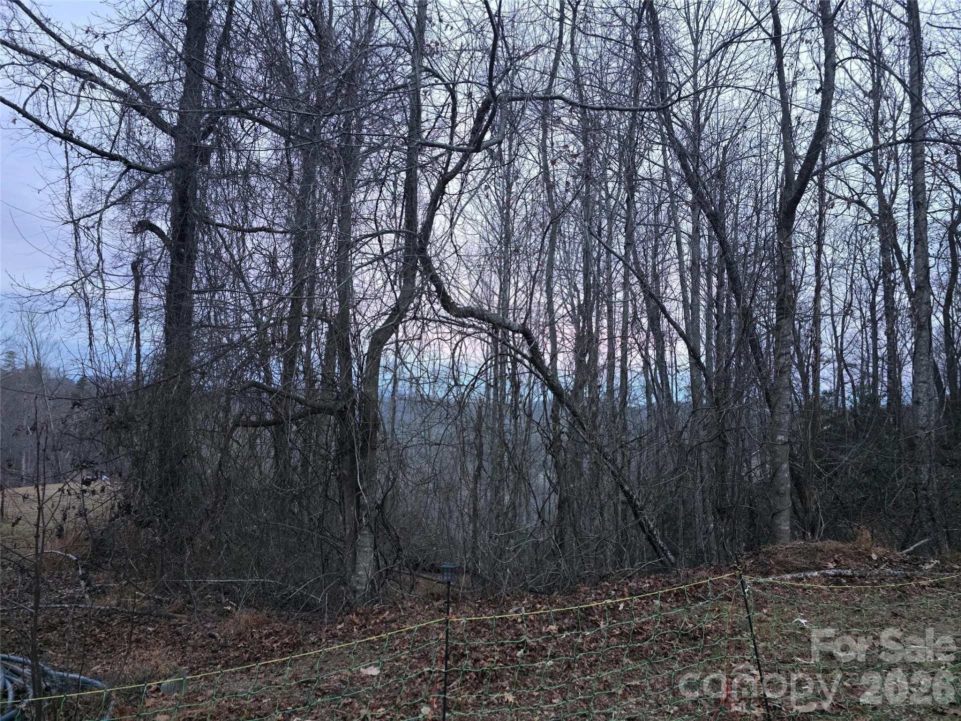 1480 Davis Mountain Road - Photo 10