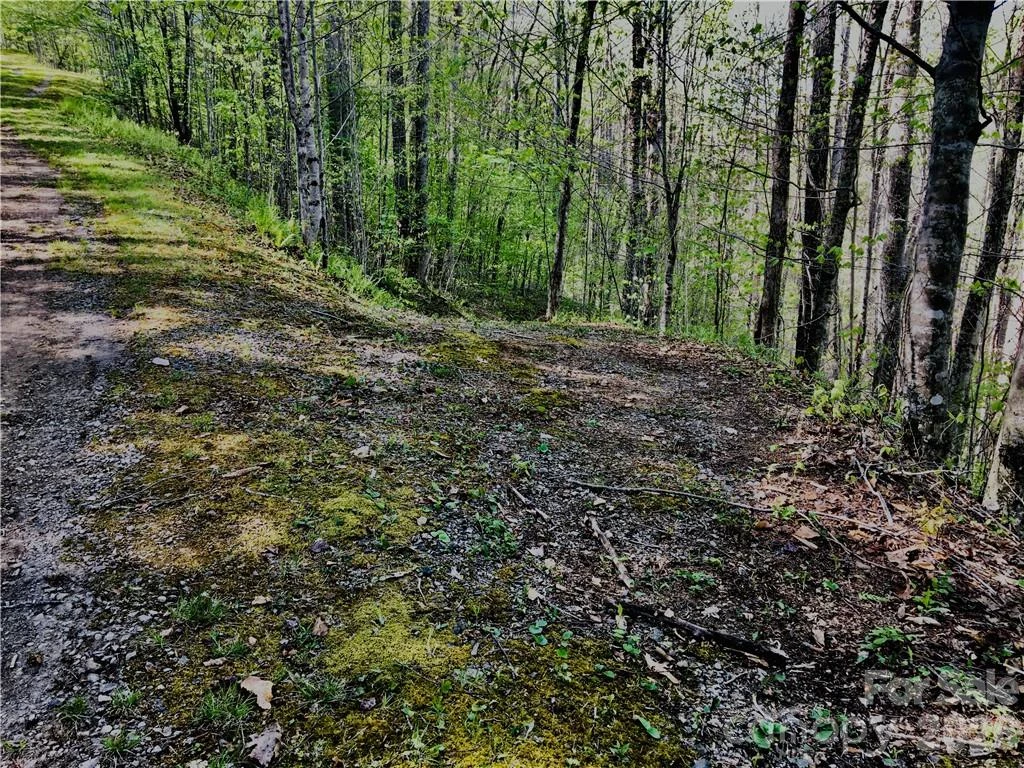 99 Fern Hill Drive - Photo 2