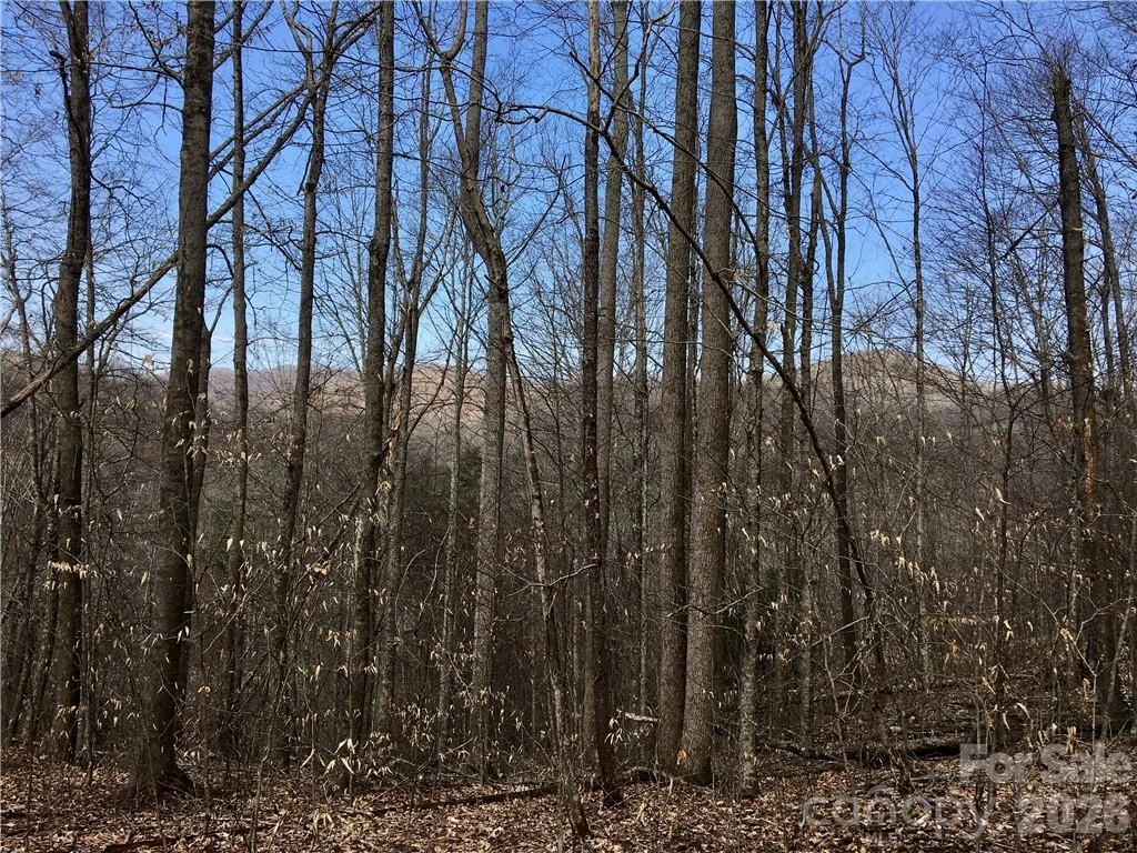 57 Fern Hill Drive - Photo 8