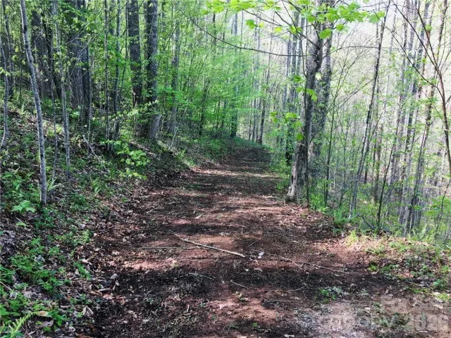 99 &57 Fern Hill Drive, Mars Hill, NC, 28754