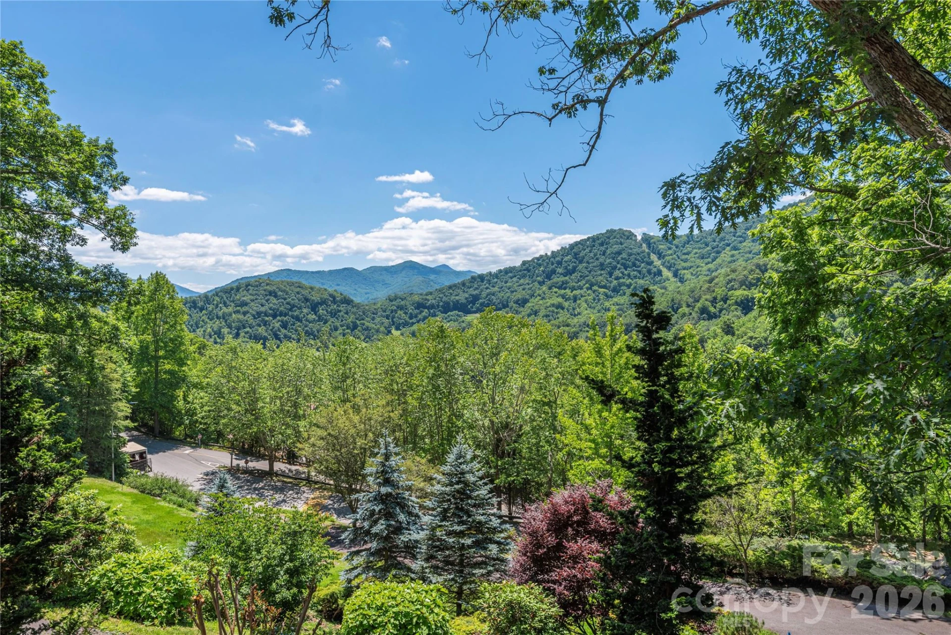554 Breckenridge Road - Photo 4