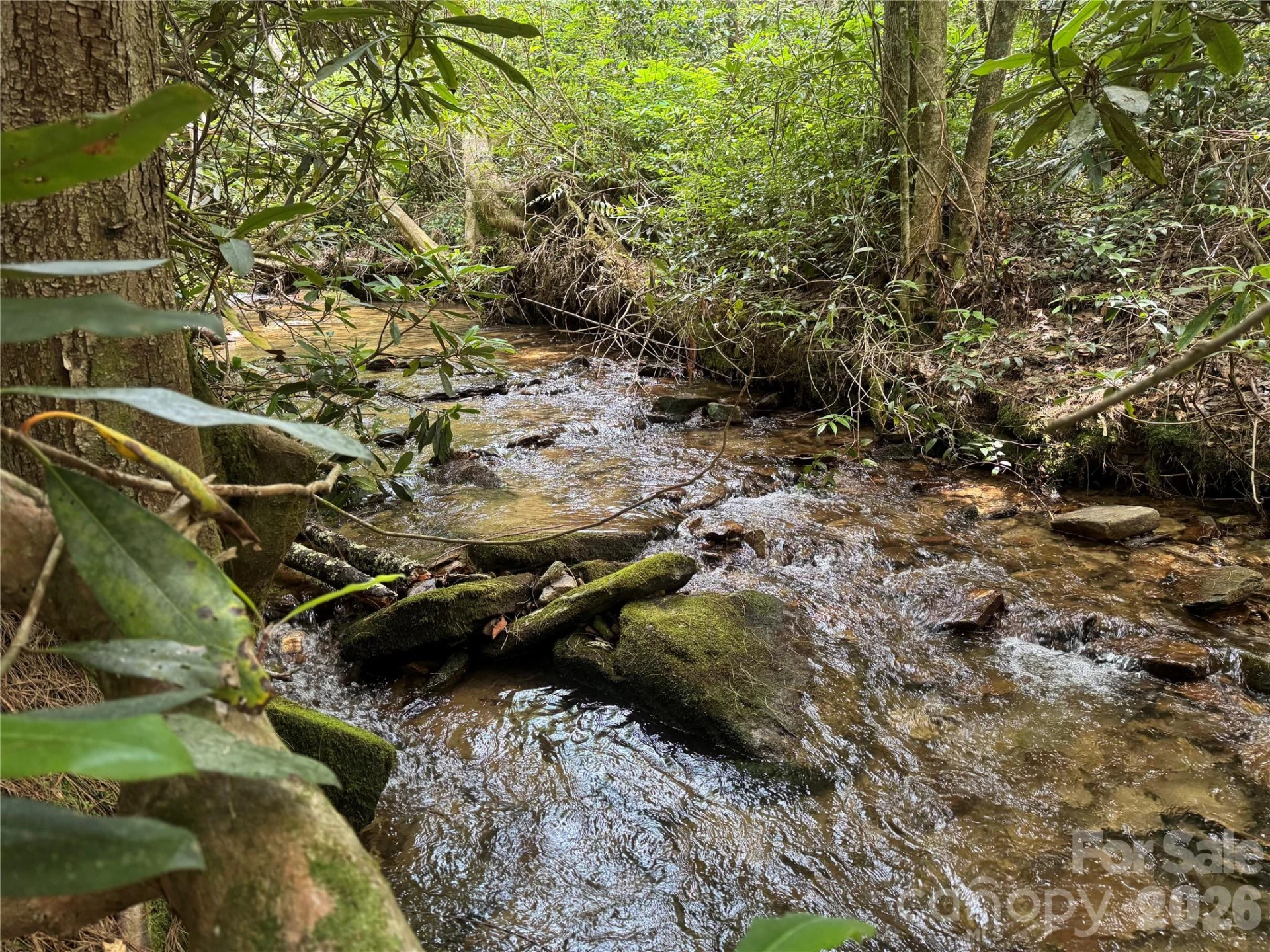 Lot 45 Abby Falls Drive