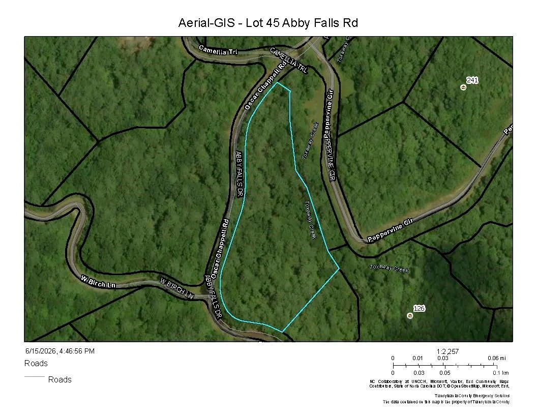 Lot 45 Abby Falls Drive - Photo 2