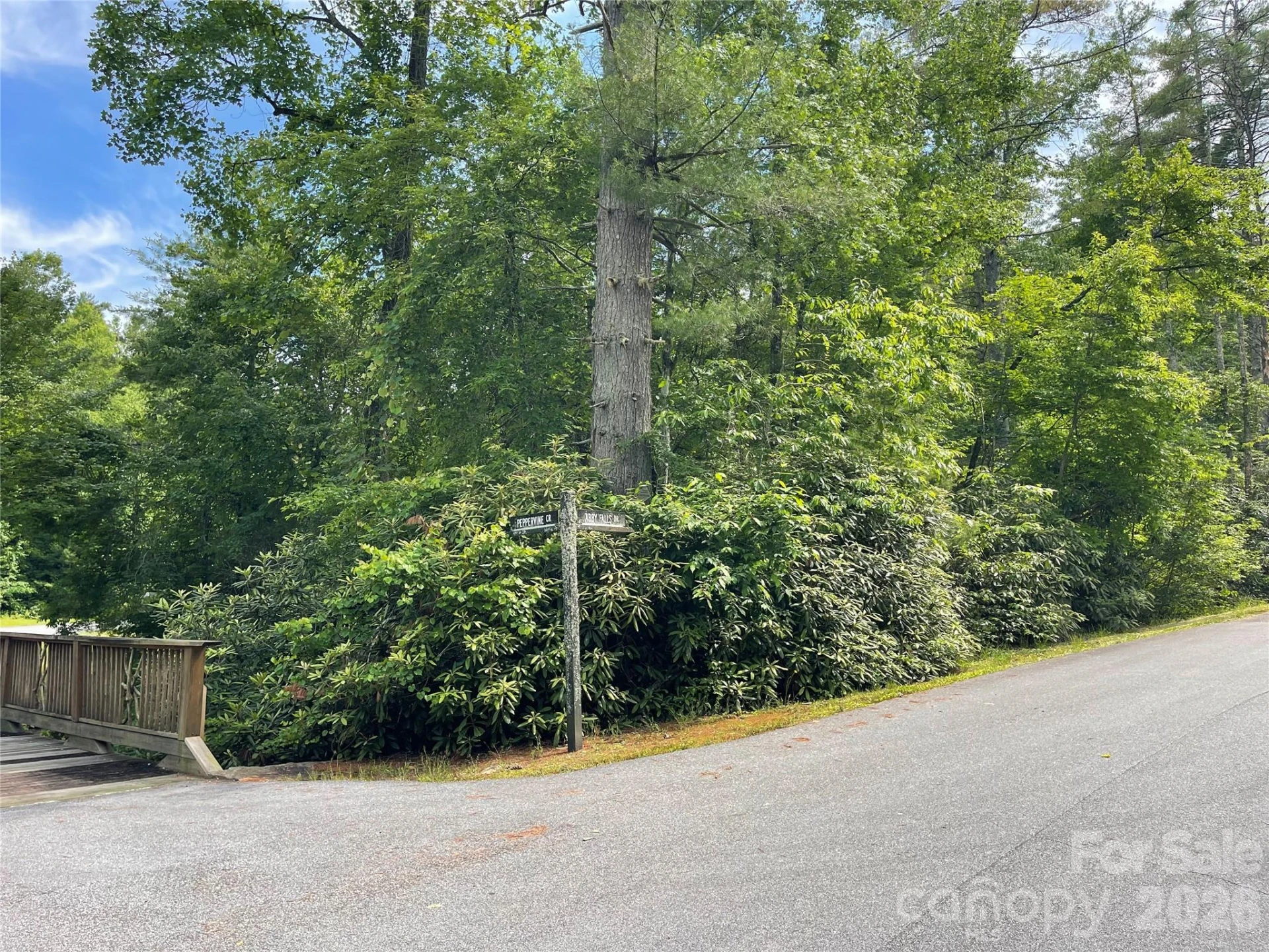 Lot 45 Abby Falls Drive - Photo 13