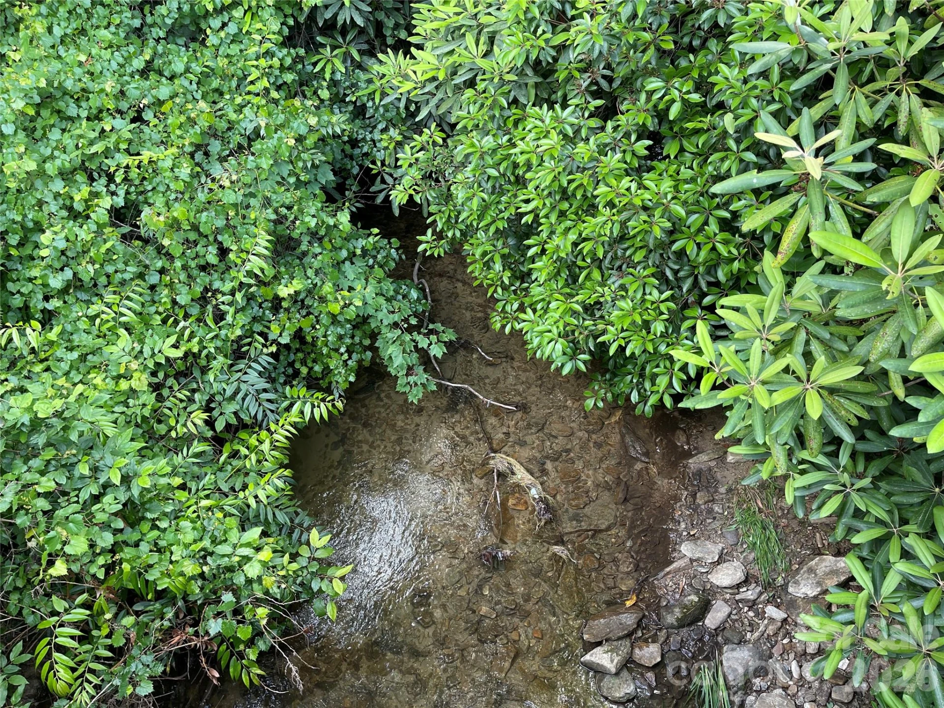 Lot 45 Abby Falls Drive - Photo 14