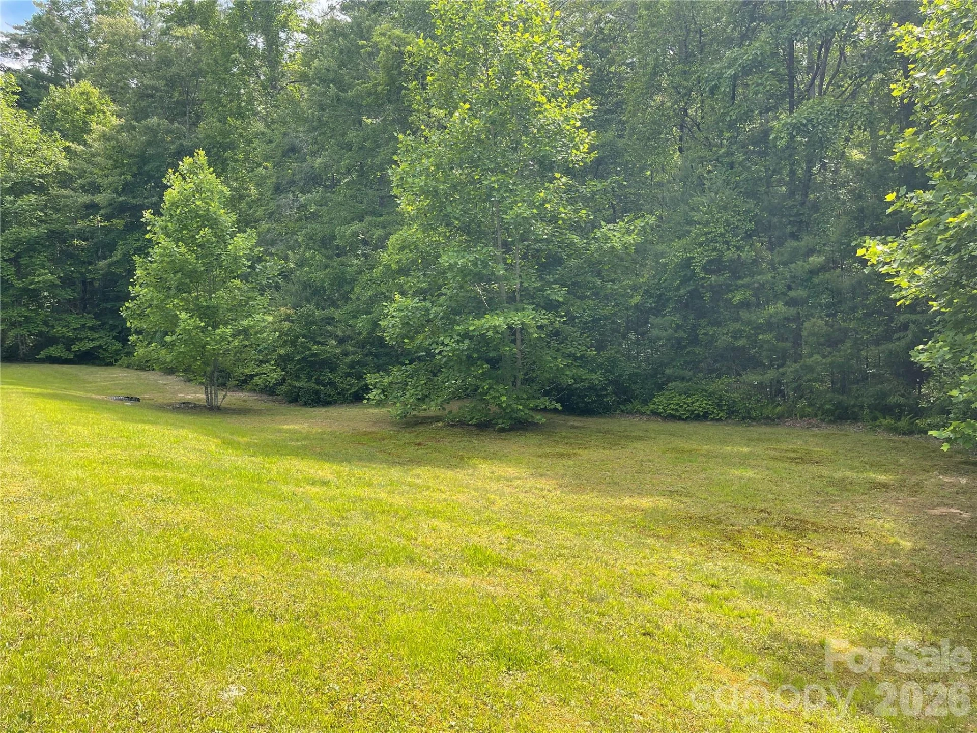 Lot 45 Abby Falls Drive - Photo 15