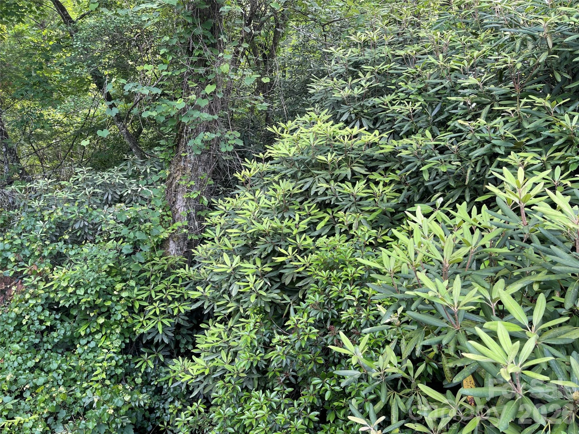 Lot 45 Abby Falls Drive - Photo 17