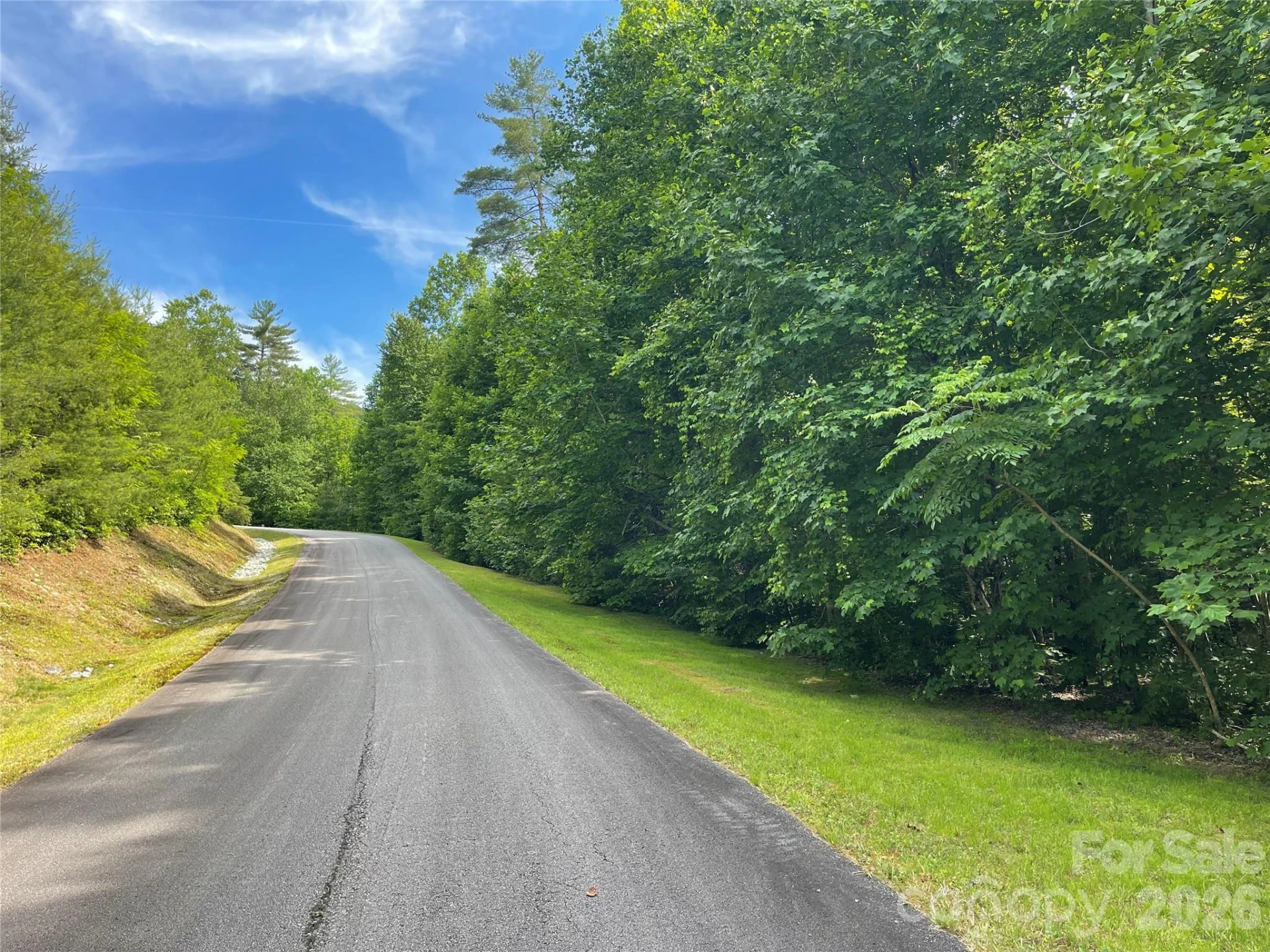 Lot 45 Abby Falls Drive - Photo 18