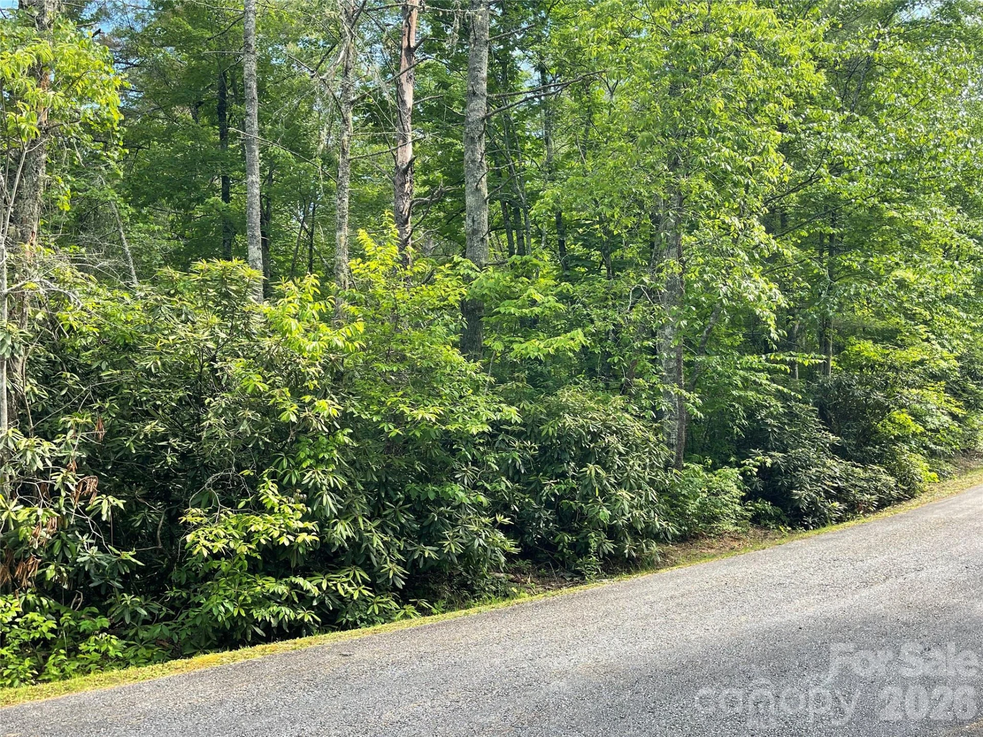Lot 45 Abby Falls Drive - Photo 20