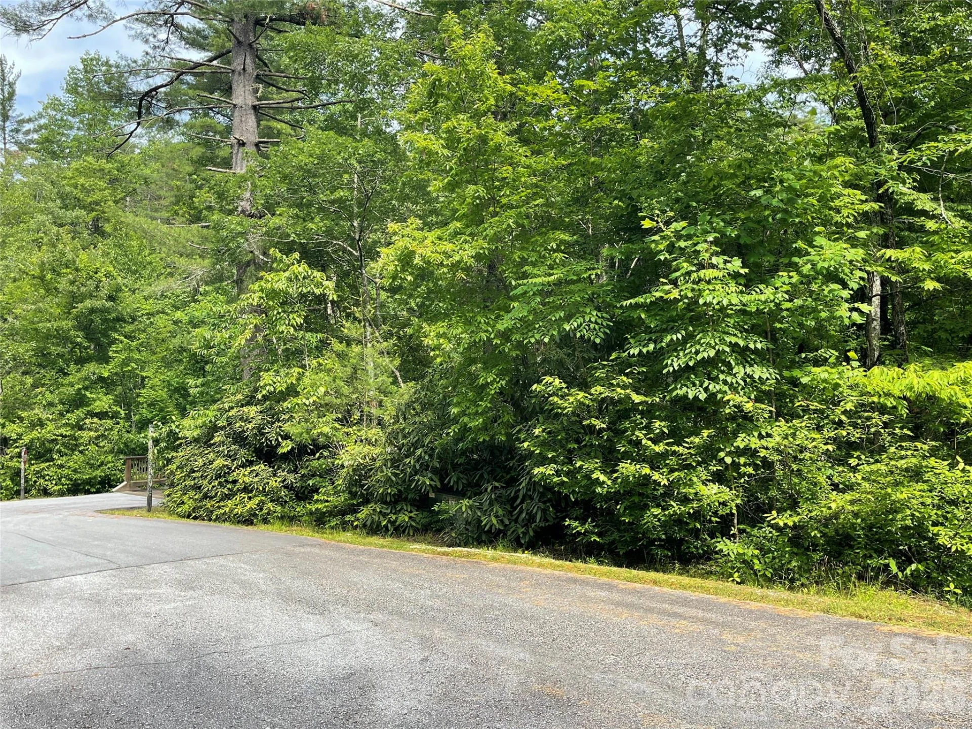 Lot 45 Abby Falls Drive - Photo 4