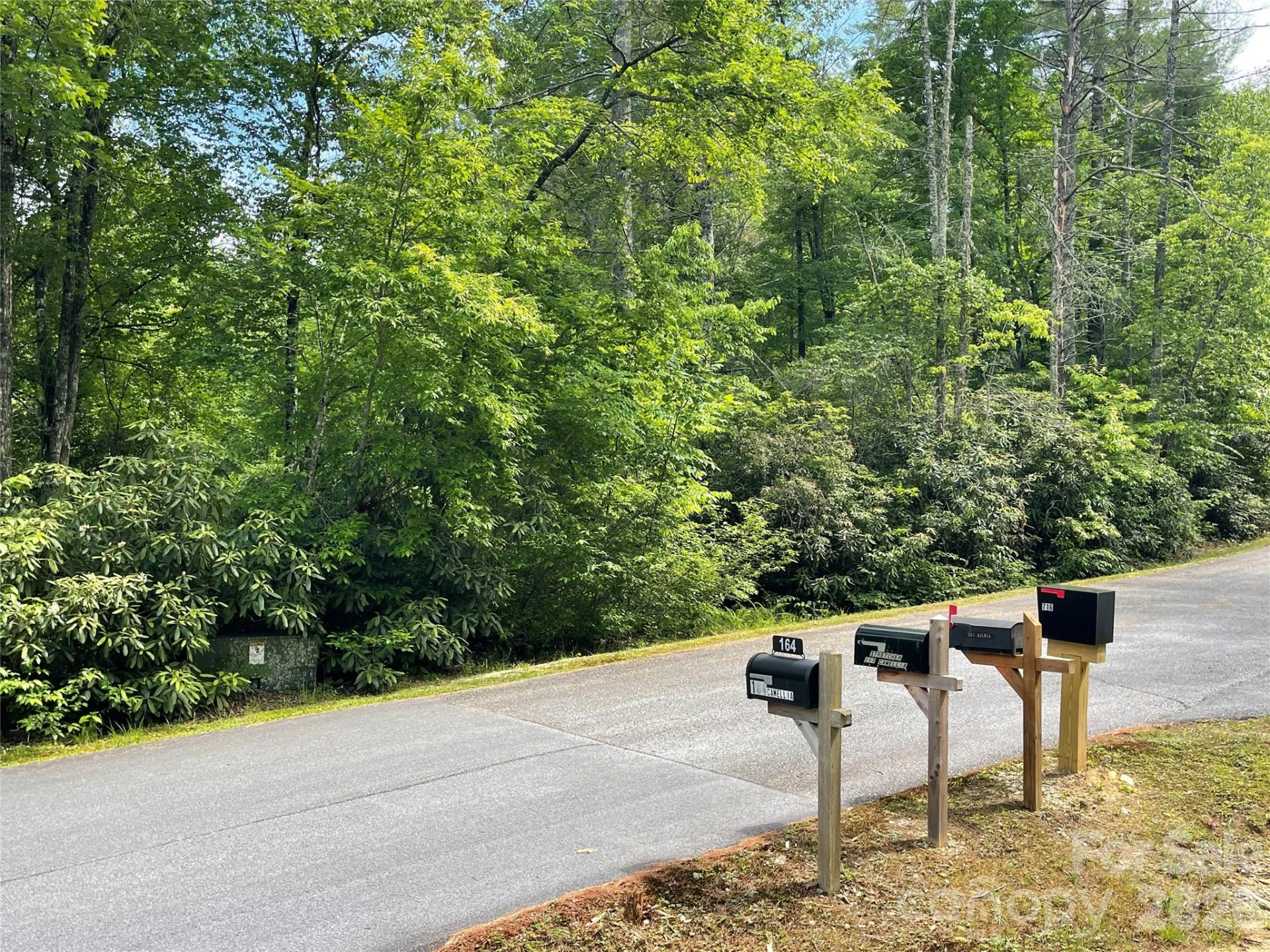 Lot 45 Abby Falls Drive - Photo 5