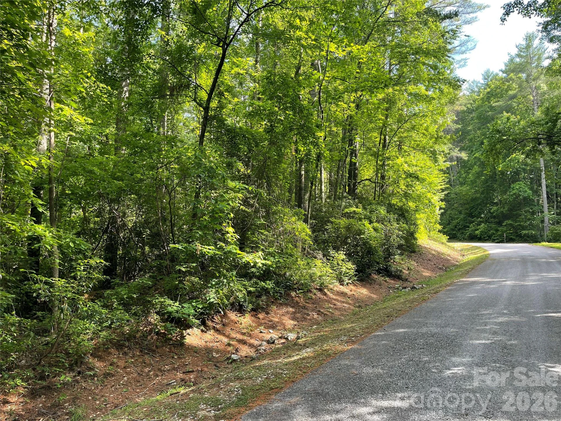 Lot 45 Abby Falls Drive - Photo 6