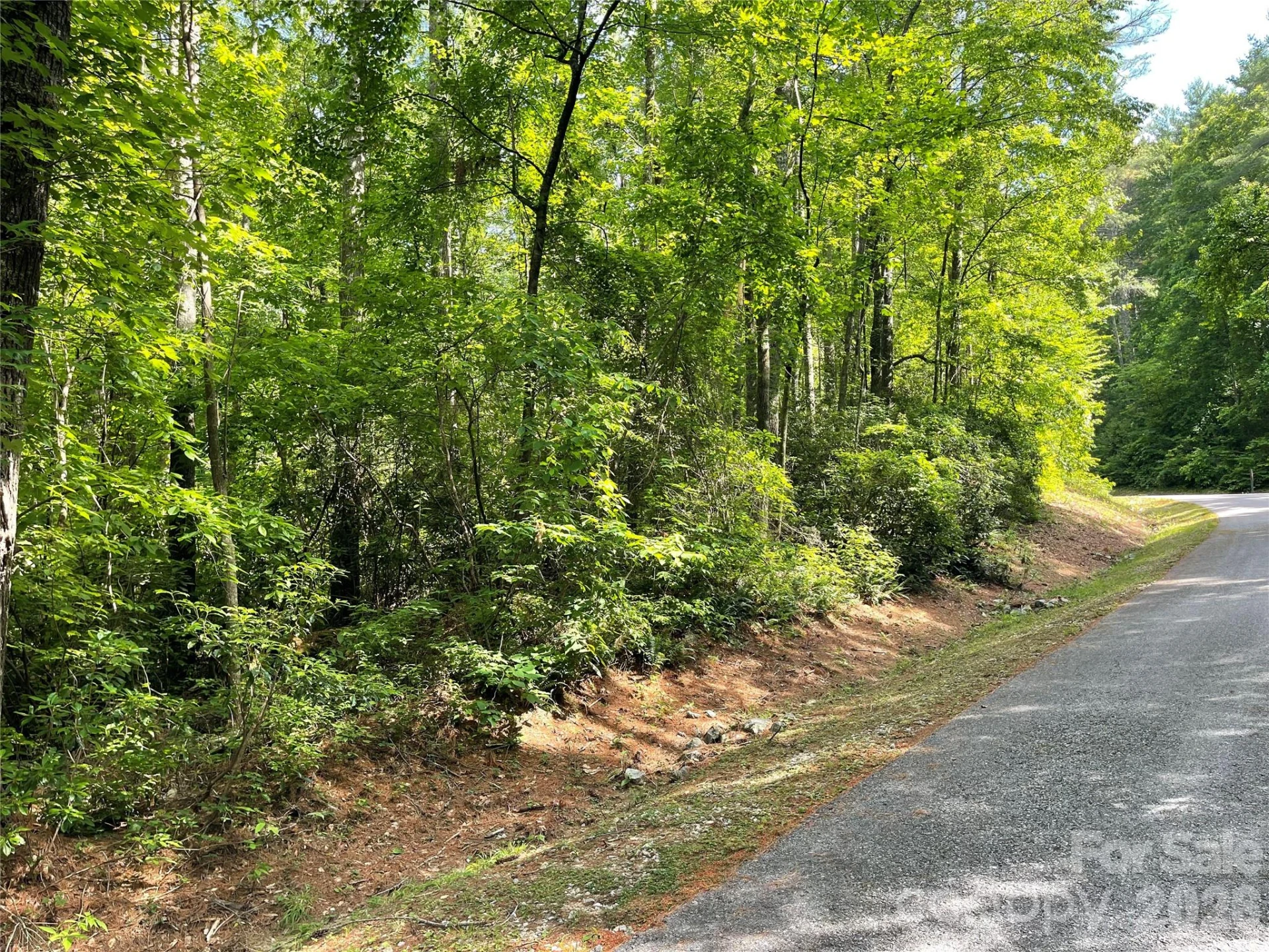 Lot 45 Abby Falls Drive - Photo 7
