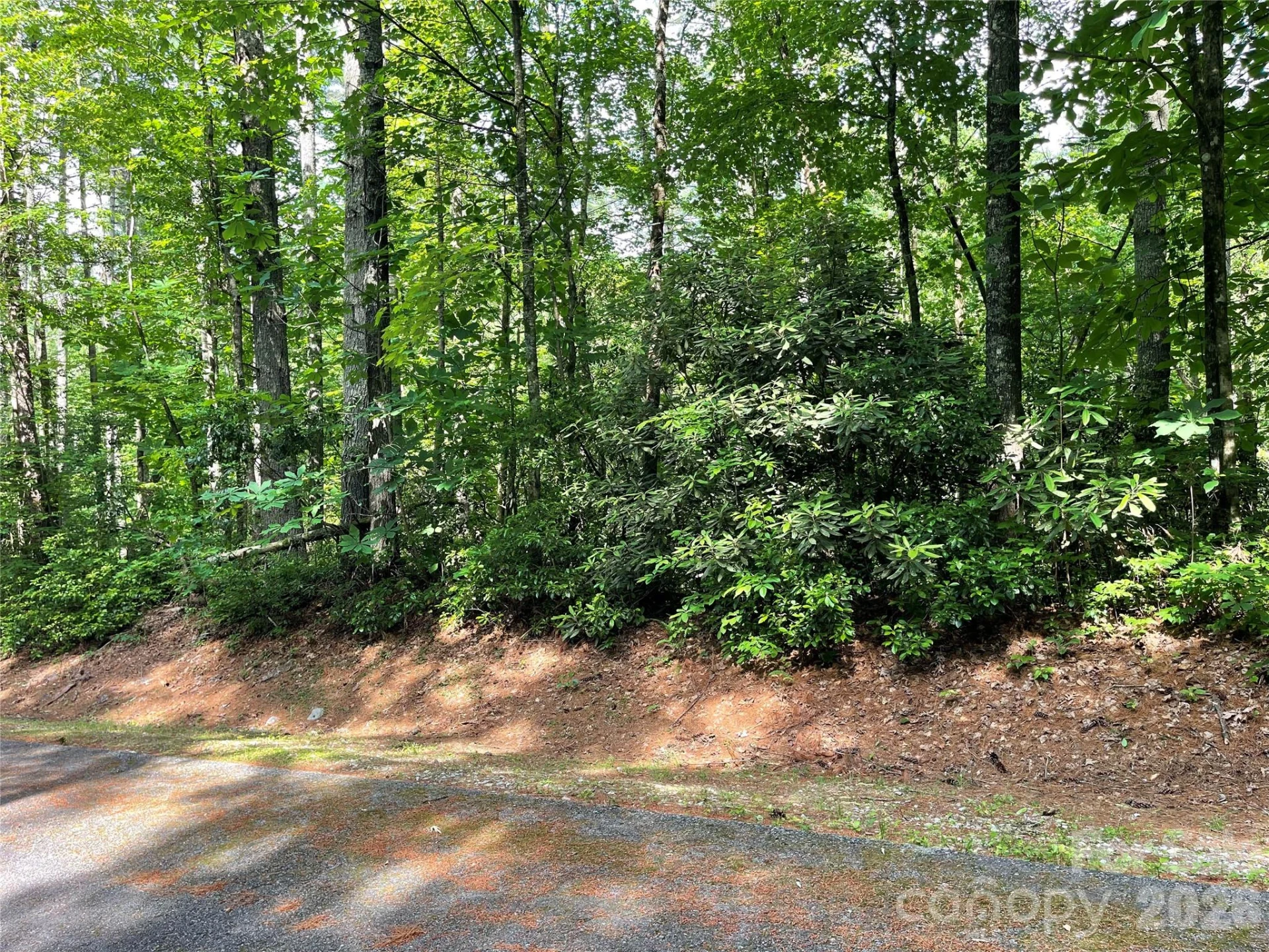 Lot 45 Abby Falls Drive - Photo 8
