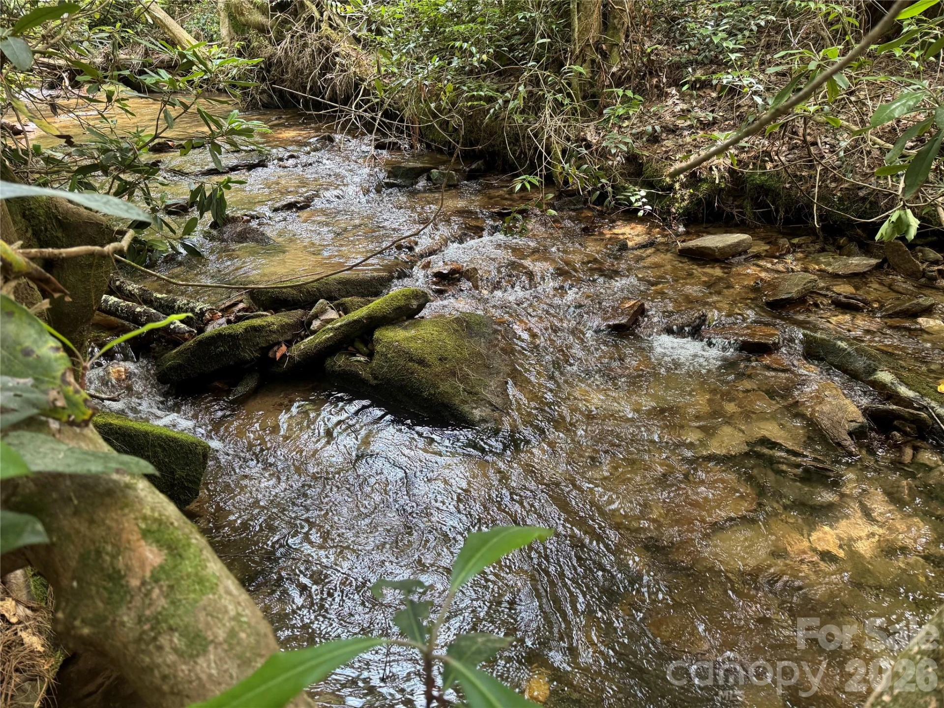 Lot 45 Abby Falls Drive - Photo 9