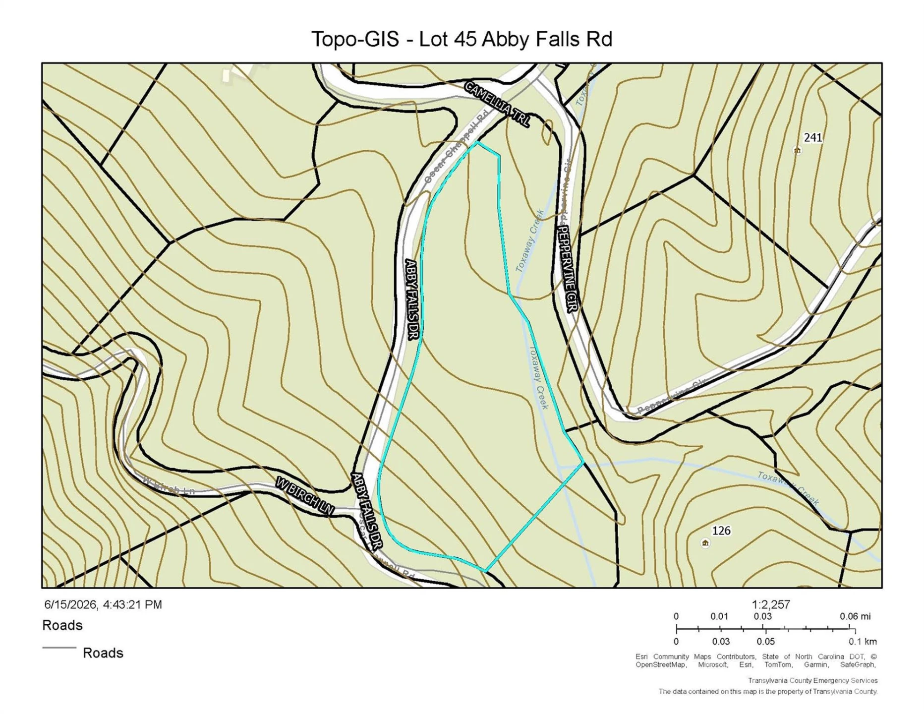 Lot 45 Abby Falls Drive - Photo 10