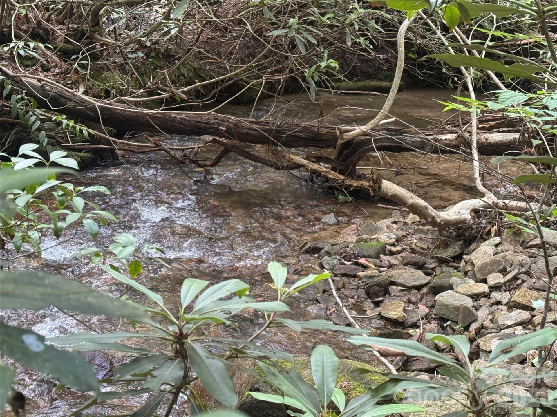 Lot 45 Abby Falls Drive - Photo 12
