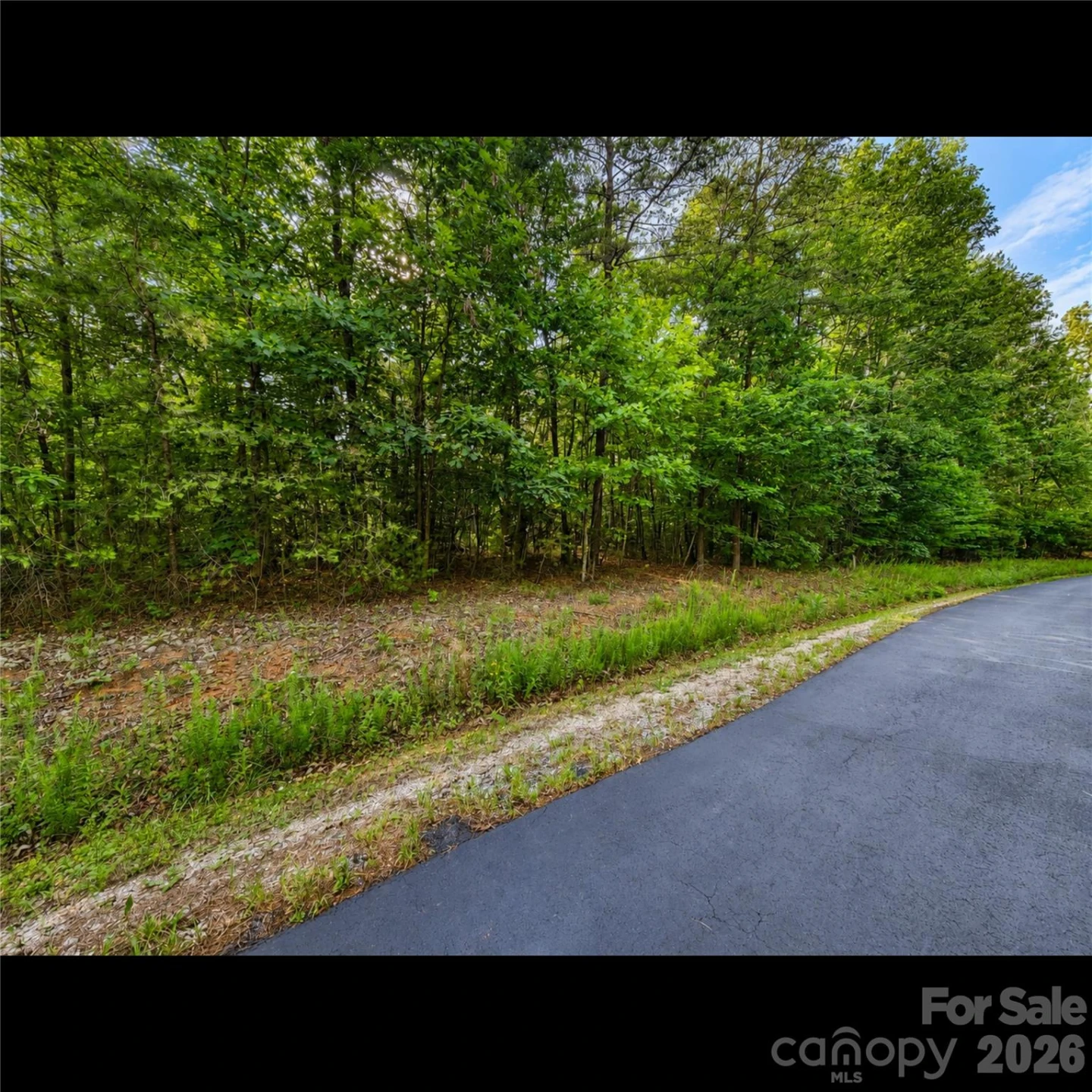 547 James View Road - Photo 4