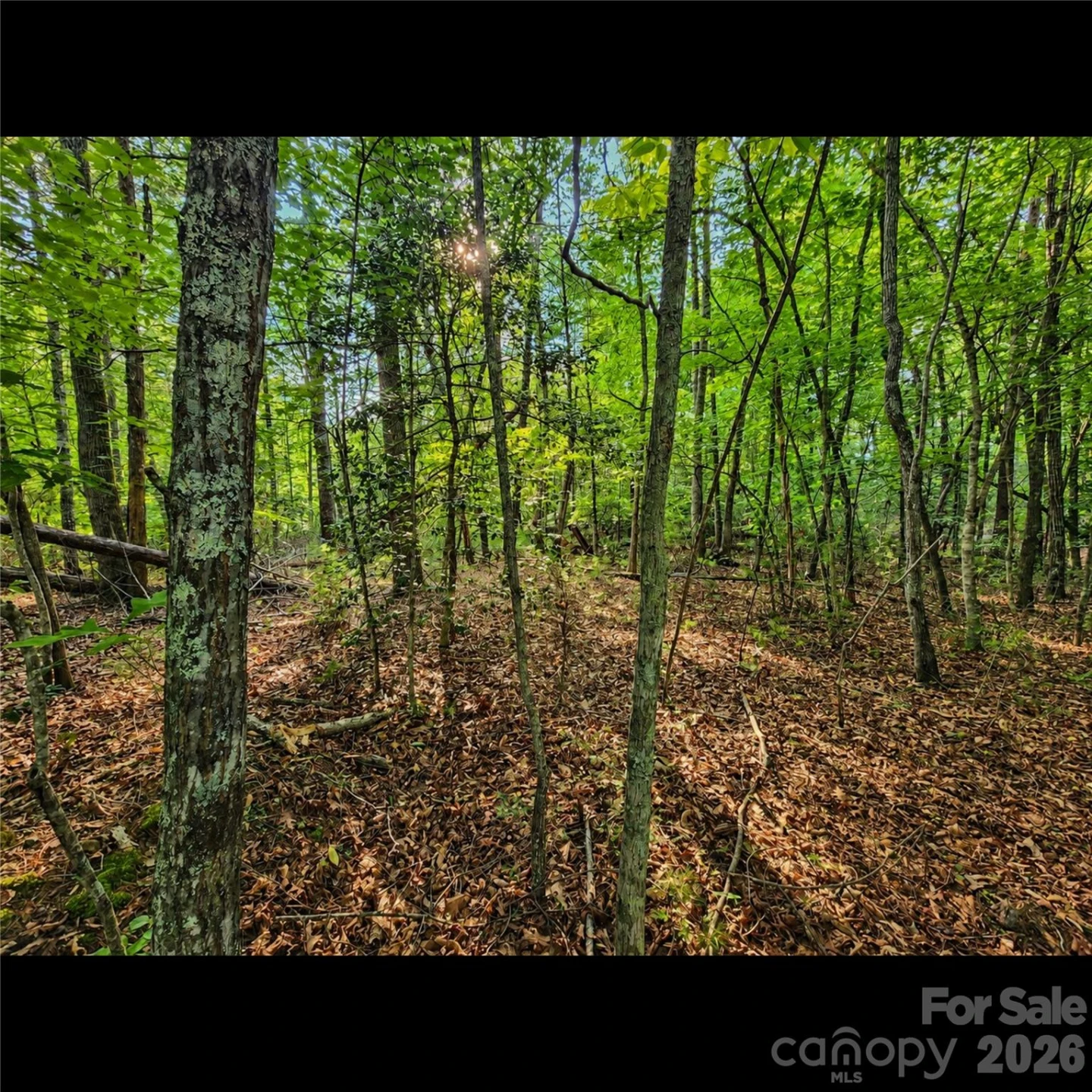 547 James View Road - Photo 5