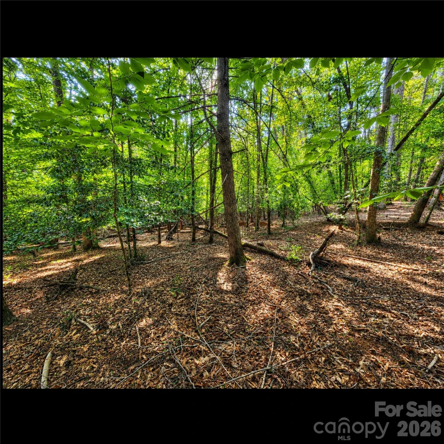 547 James View Road - Photo 6