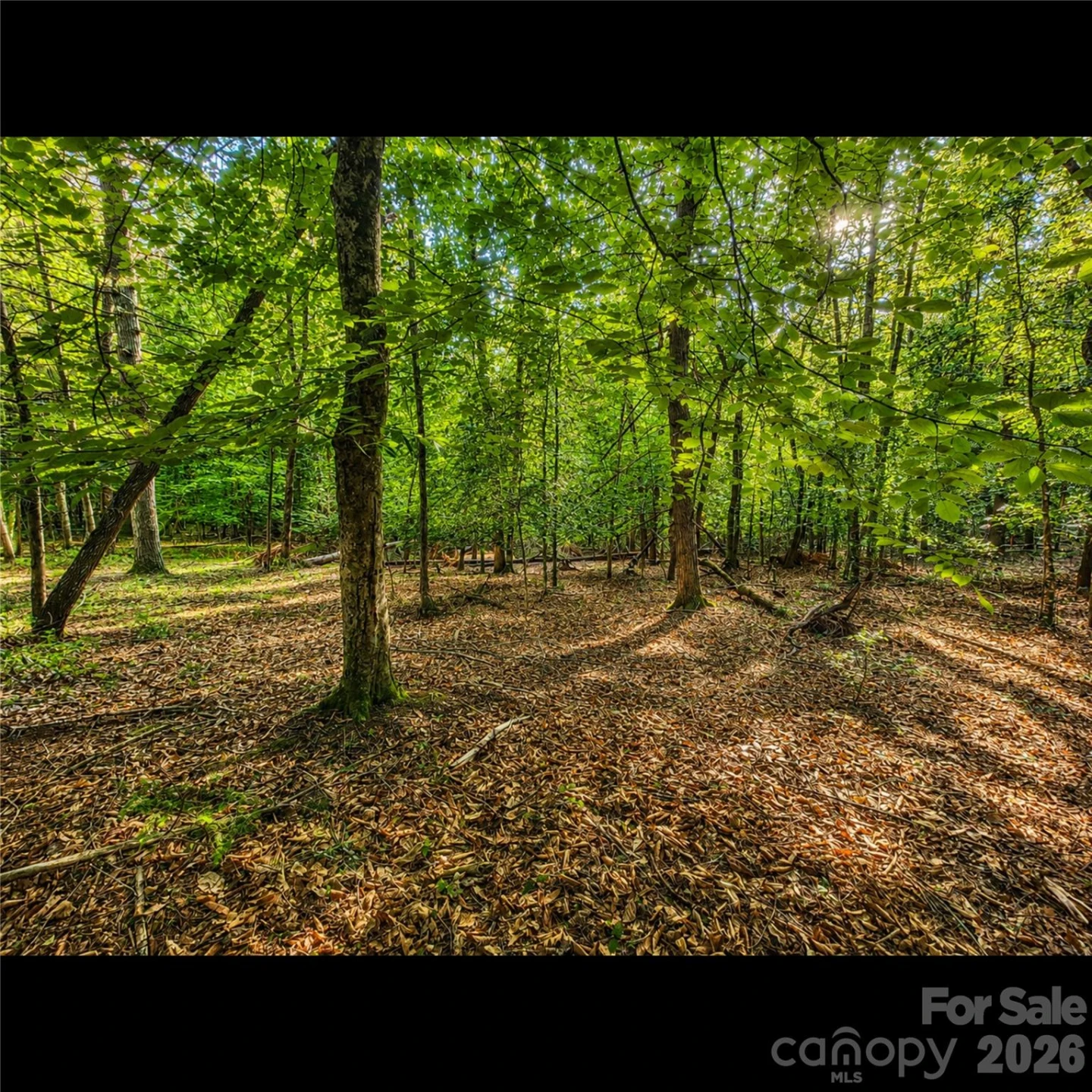 547 James View Road - Photo 7