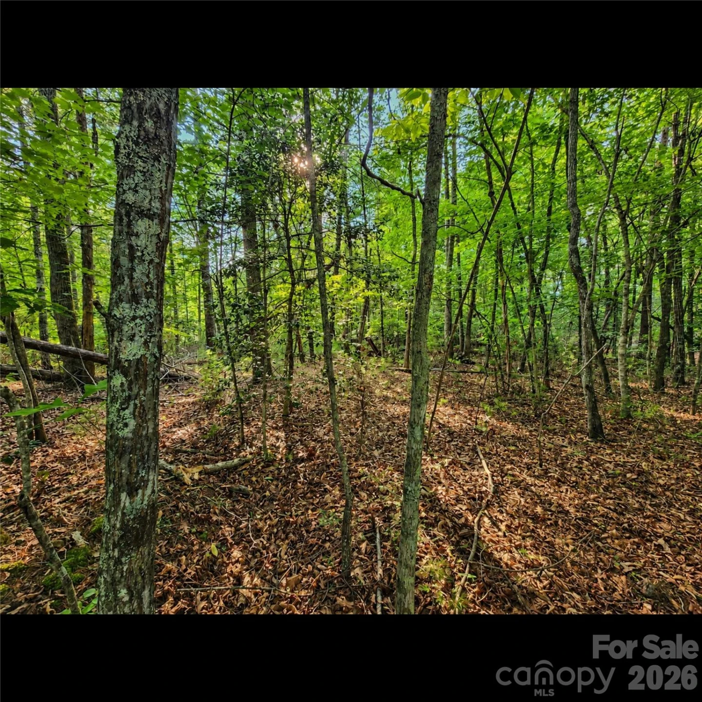 547 James View Road - Photo 8