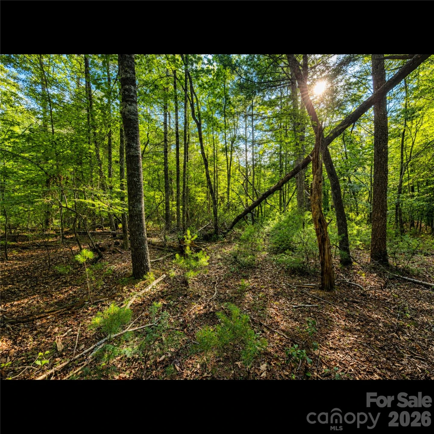 547 James View Road - Photo 9