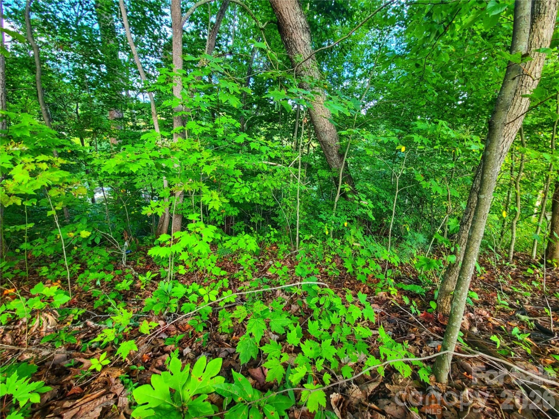 141 Sunrise Drive #14 - Photo 2