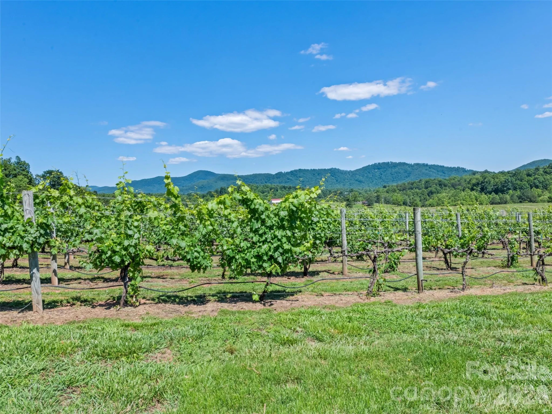 1418 Landis Lane - Photo 42