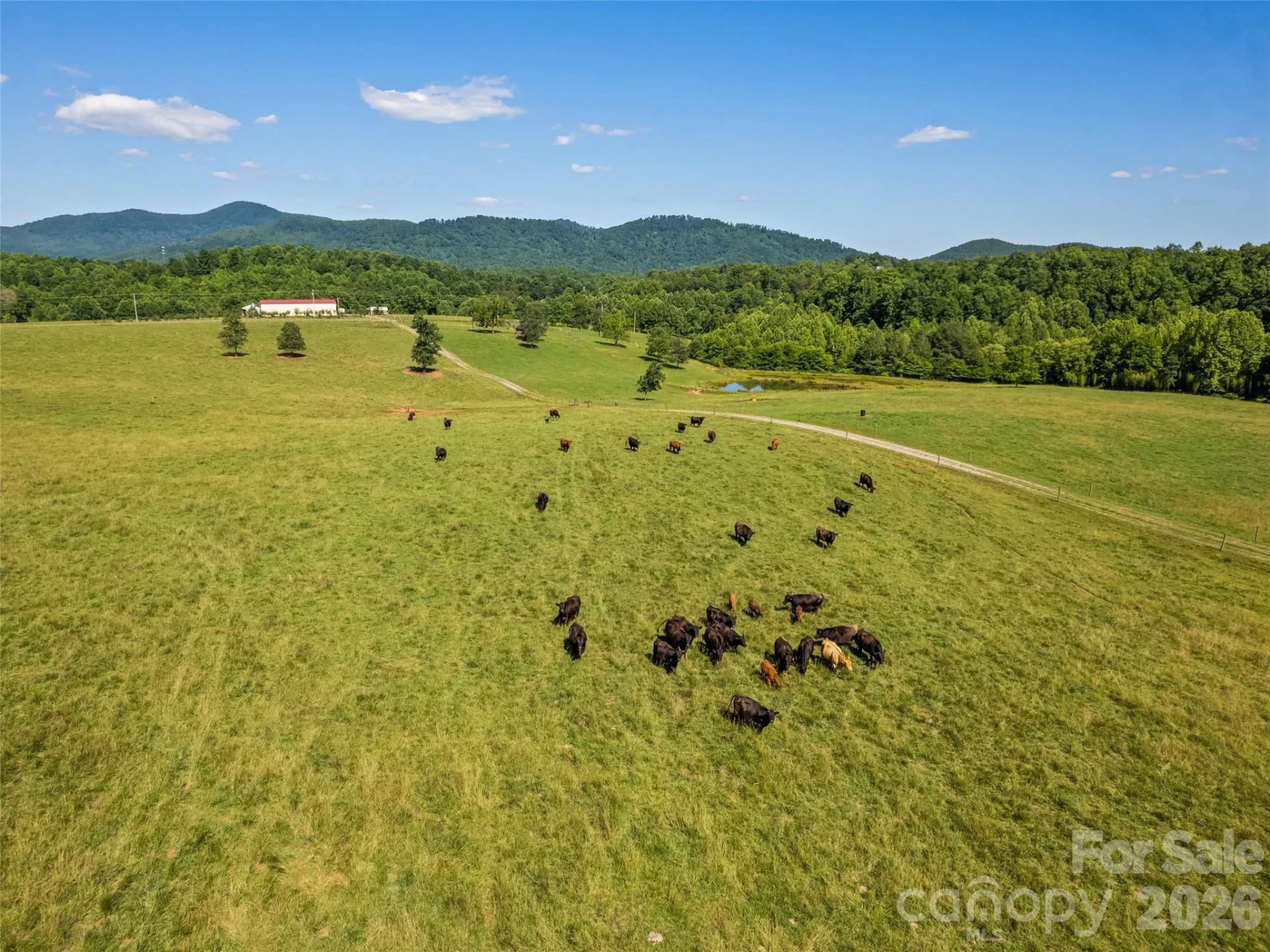1418 Landis Lane - Photo 9