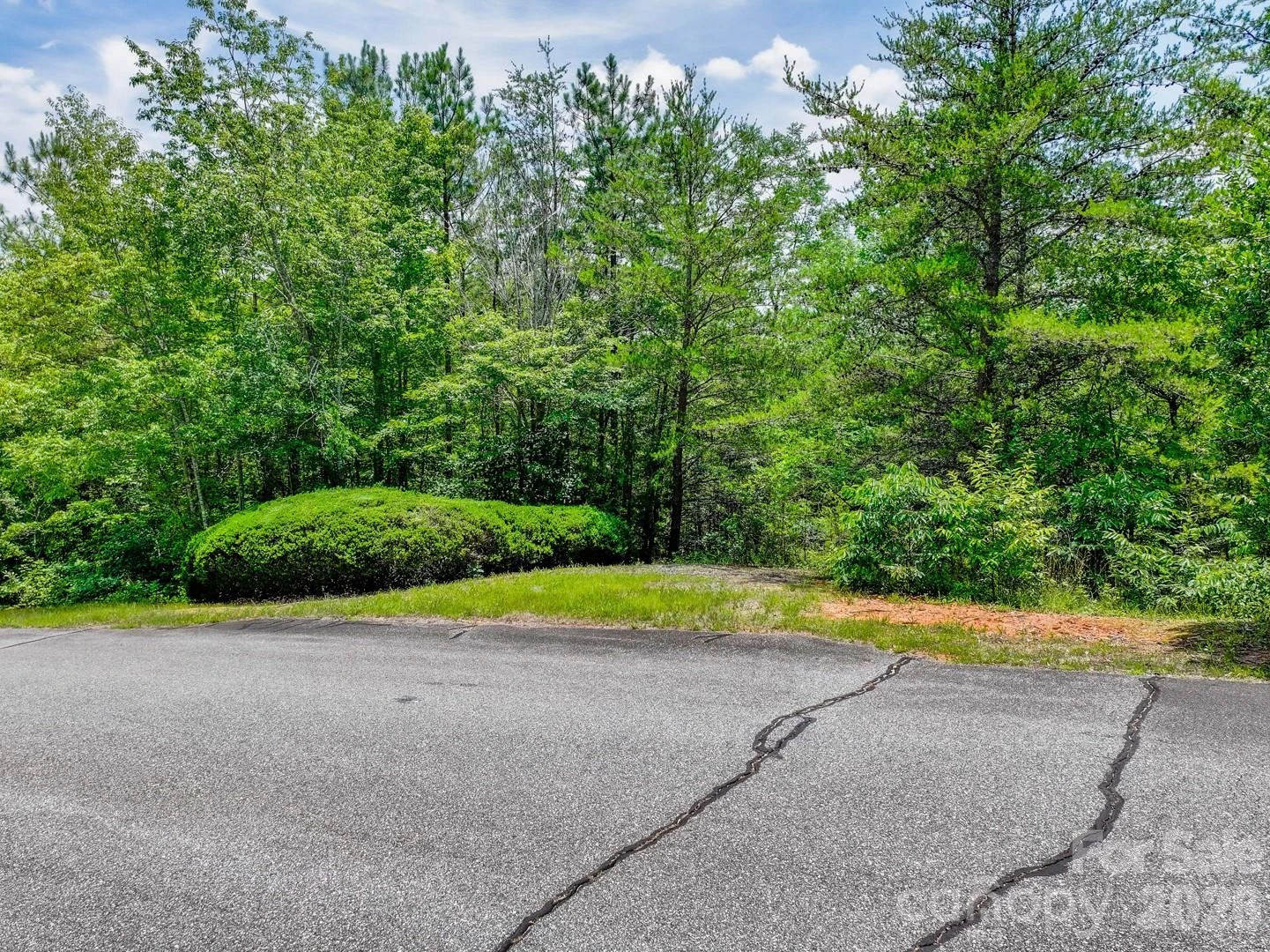 121 Jobes Trail #35 - Photo 11