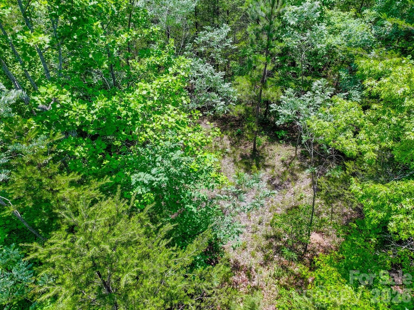 121 Jobes Trail #35 - Photo 12