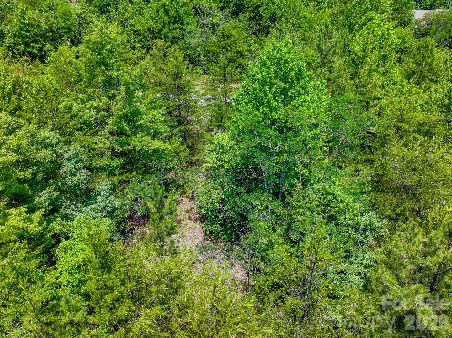 121 Jobes Trail #35 - Photo 13