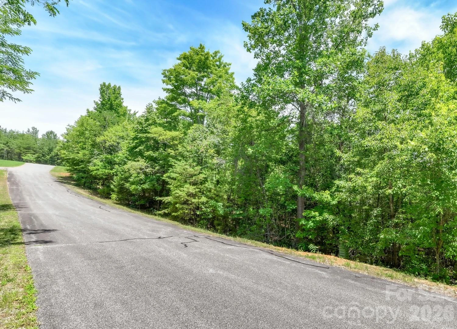121 Jobes Trail #35 - Photo 17