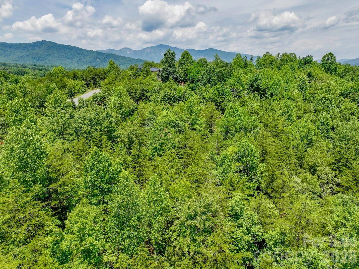 121 Jobes Trail #35 - Photo 18