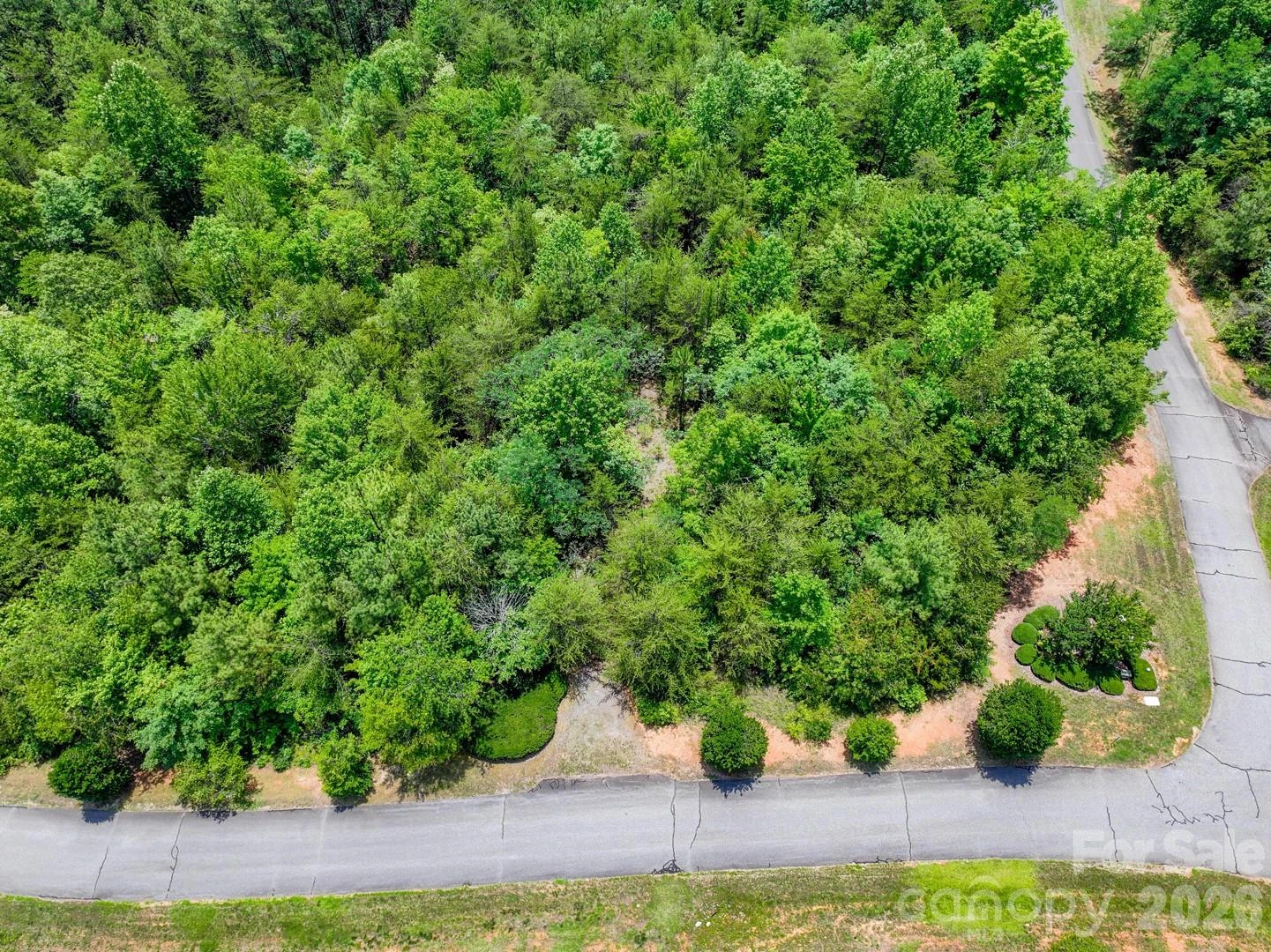 121 Jobes Trail #35 - Photo 4