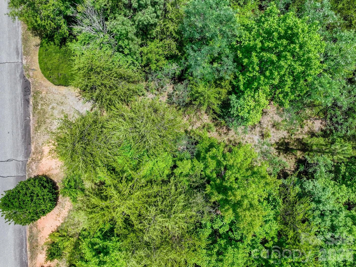 121 Jobes Trail #35 - Photo 8