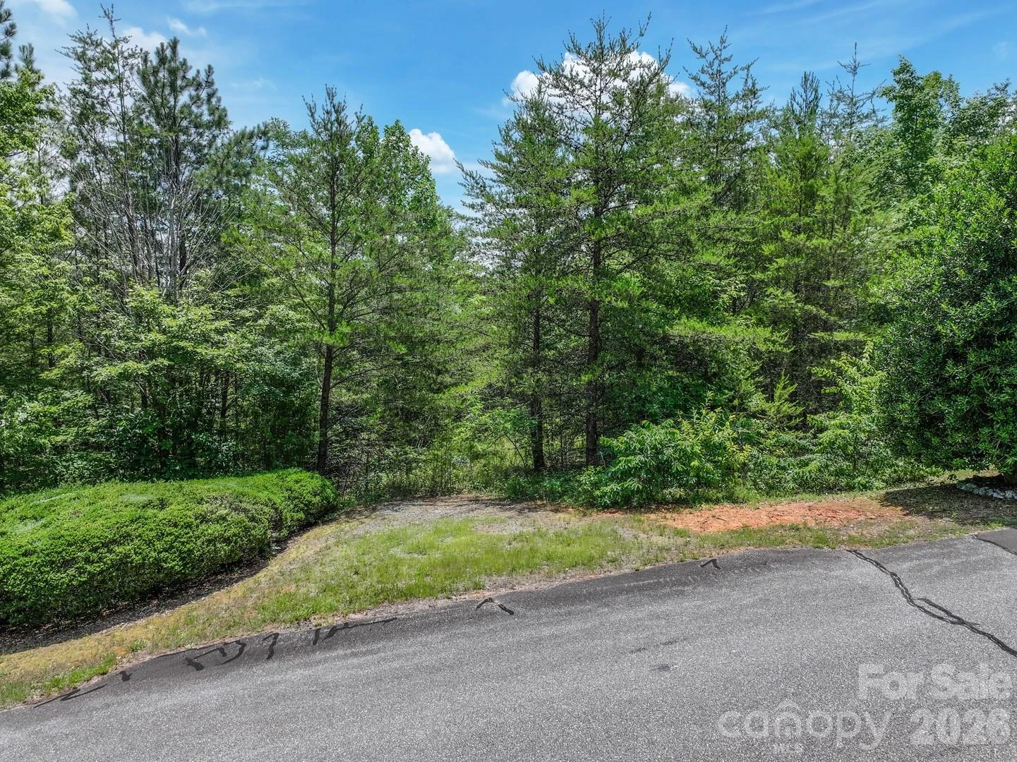 121 Jobes Trail #35 - Photo 9