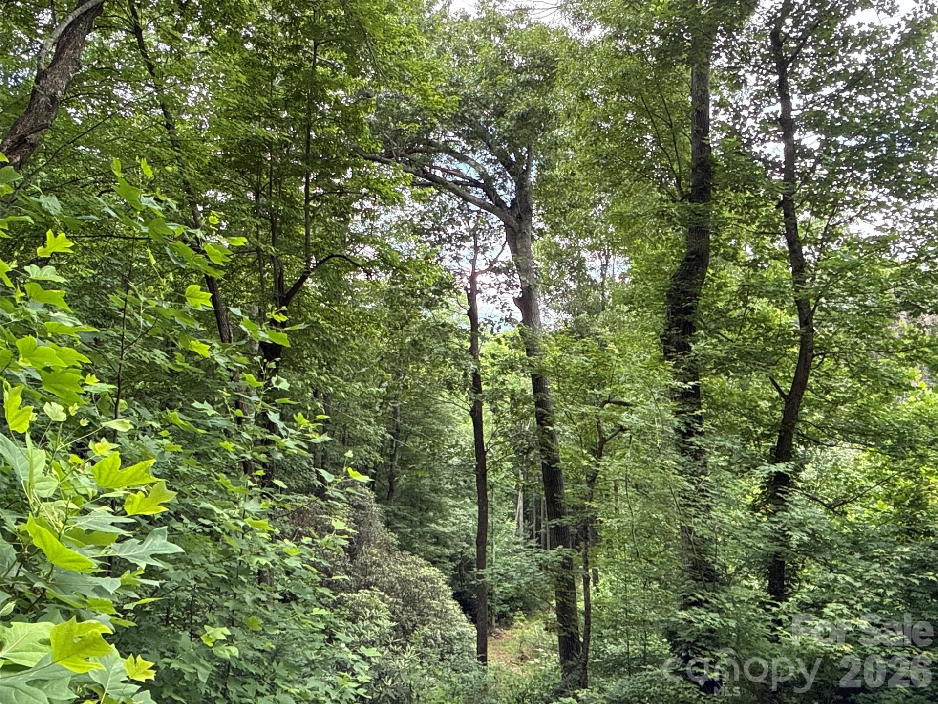 9999 Sunset Drive - Photo 11