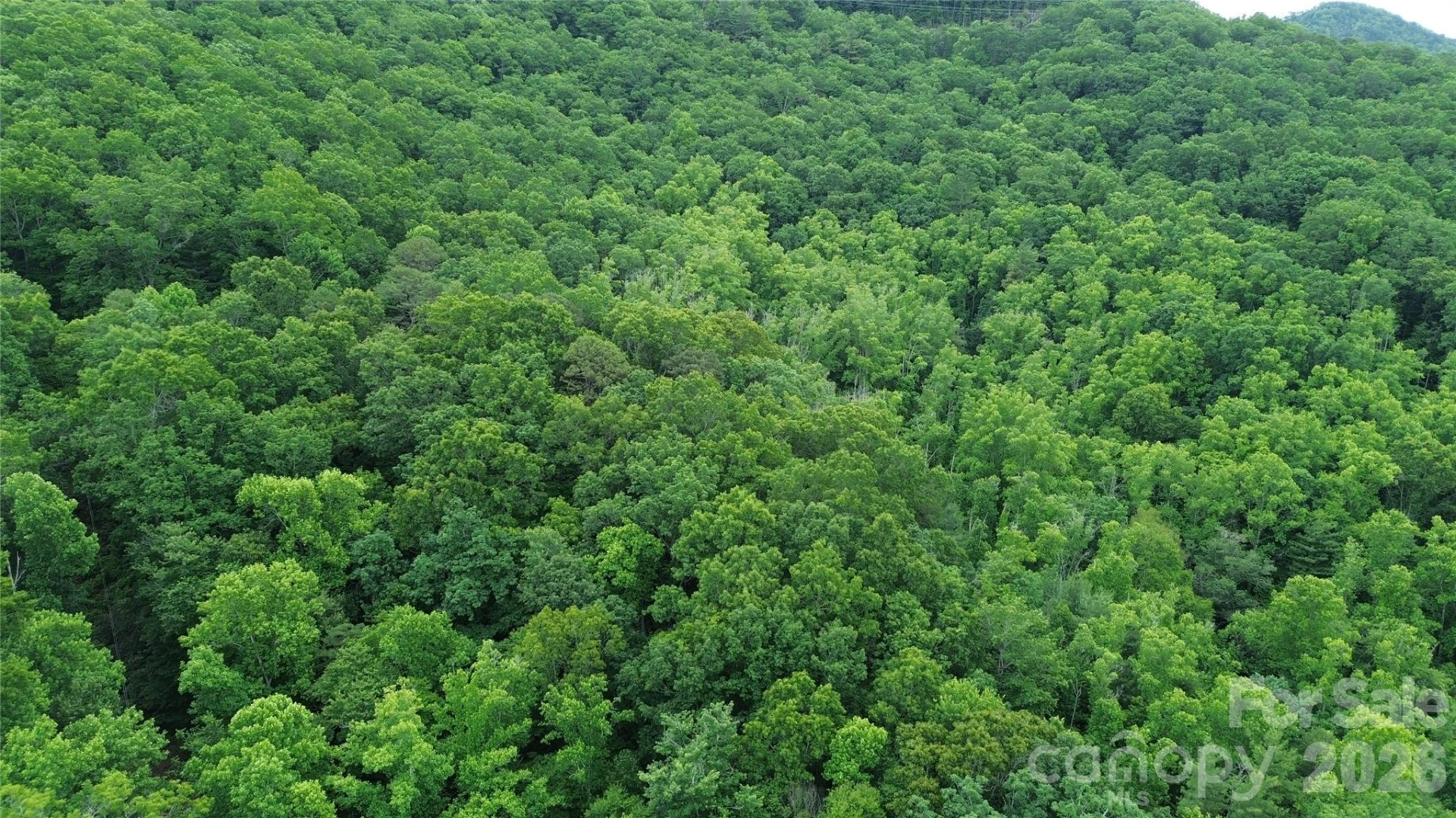 9999 Sunset Drive - Photo 13