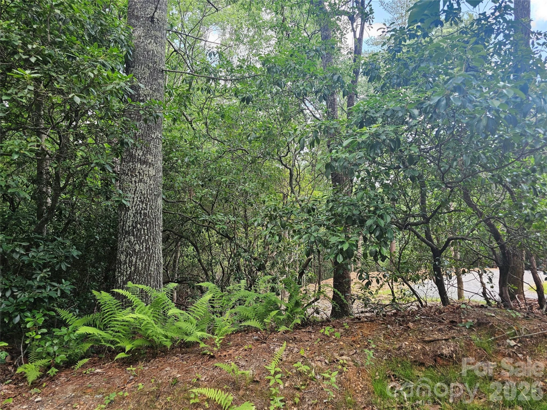 171 Duff Cove Road - Photo 30