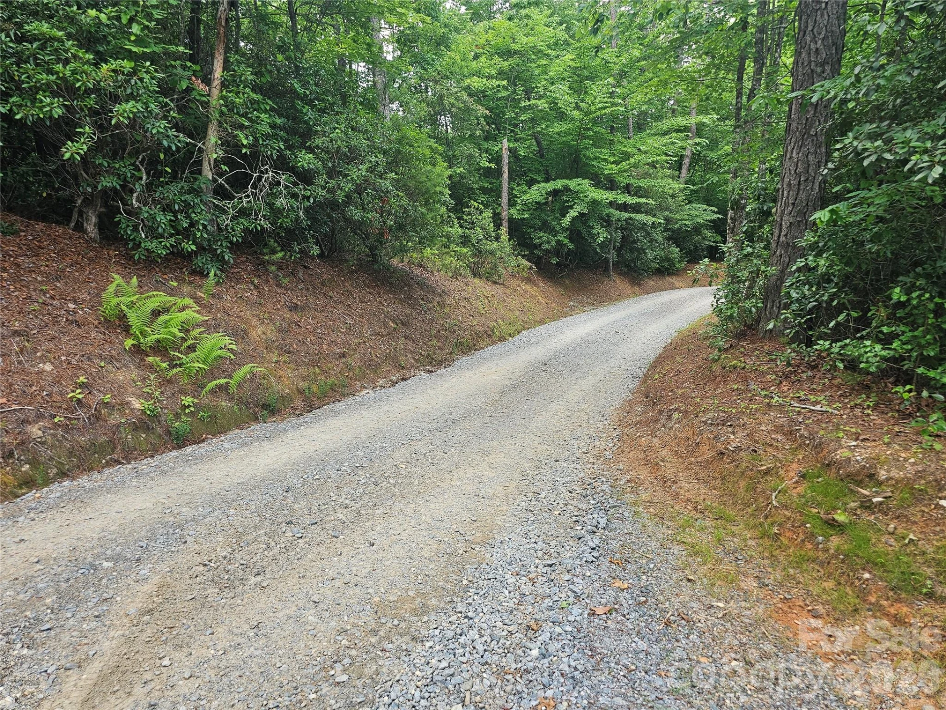 171 Duff Cove Road - Photo 6