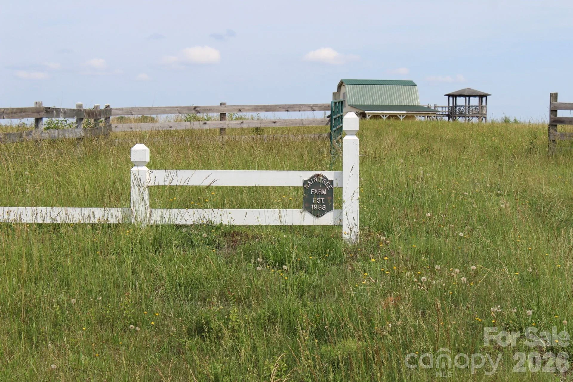 Lot 3 Ted Smith Road #3 - Photo 6