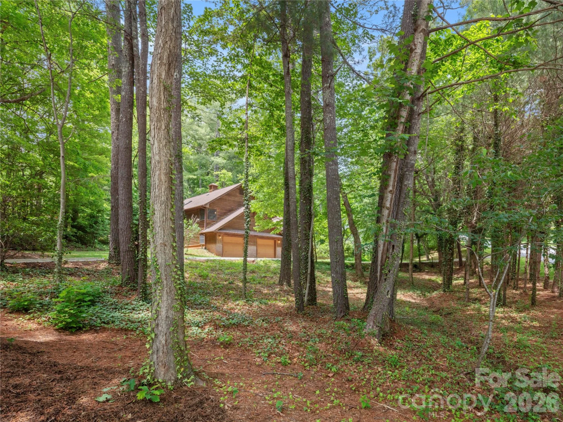 11 Tree Top Drive - Photo 9