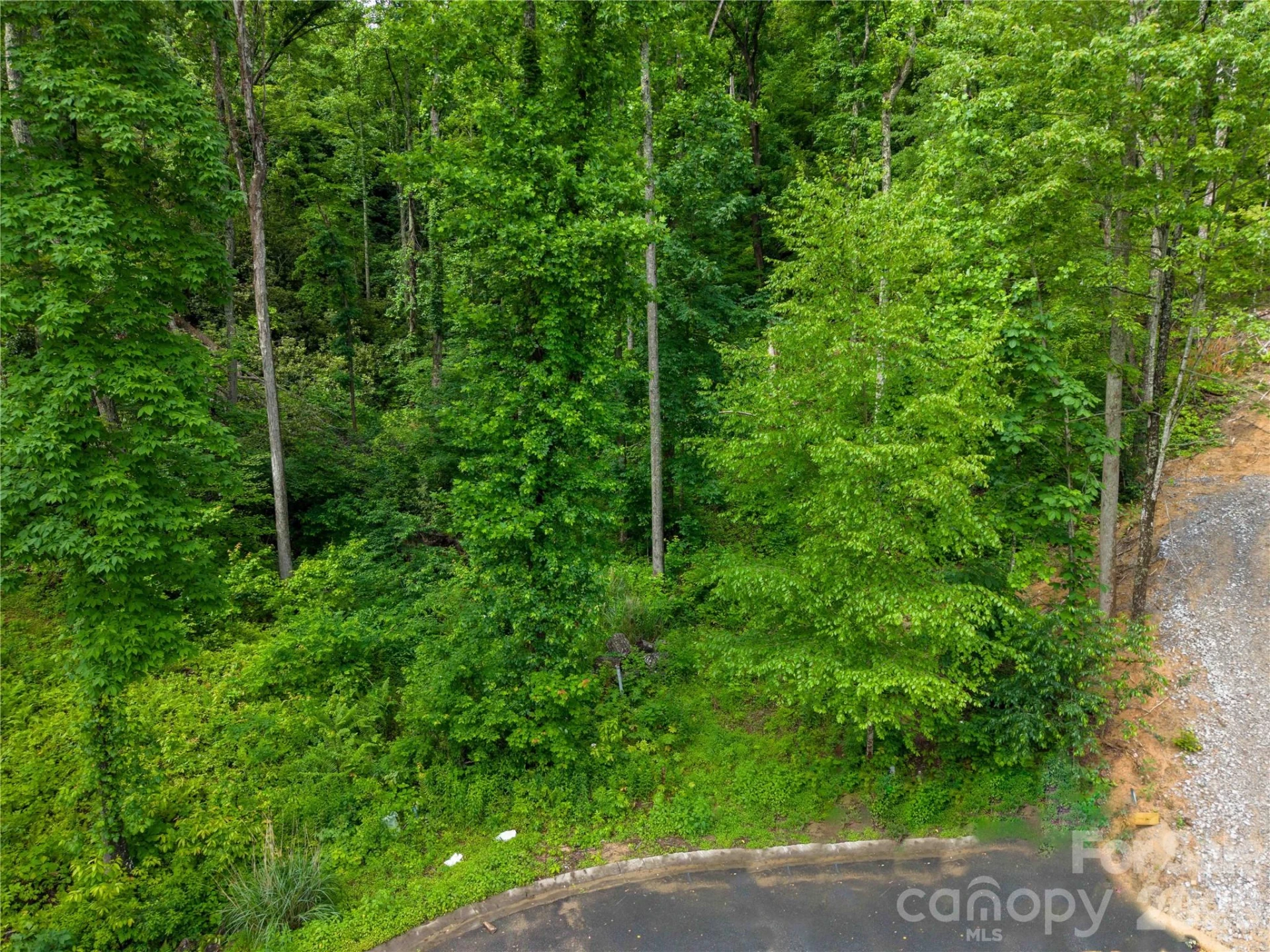 334 Carriage Crest Drive - Photo 2